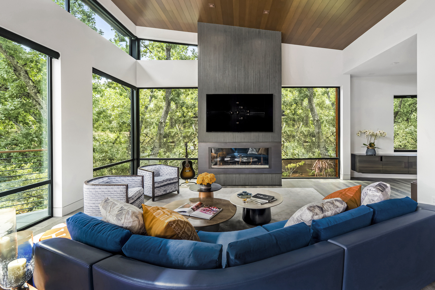 Great Room Designs - Vivian Soliemani Design
