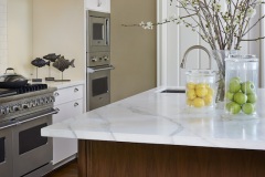 9.Los-Altos-interior-design-company-kitchen-design-projects-portoflio